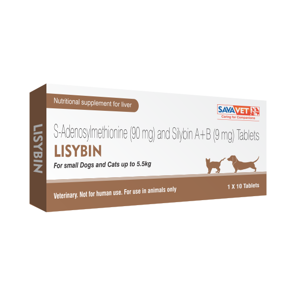 Lisybin small 10 tabs