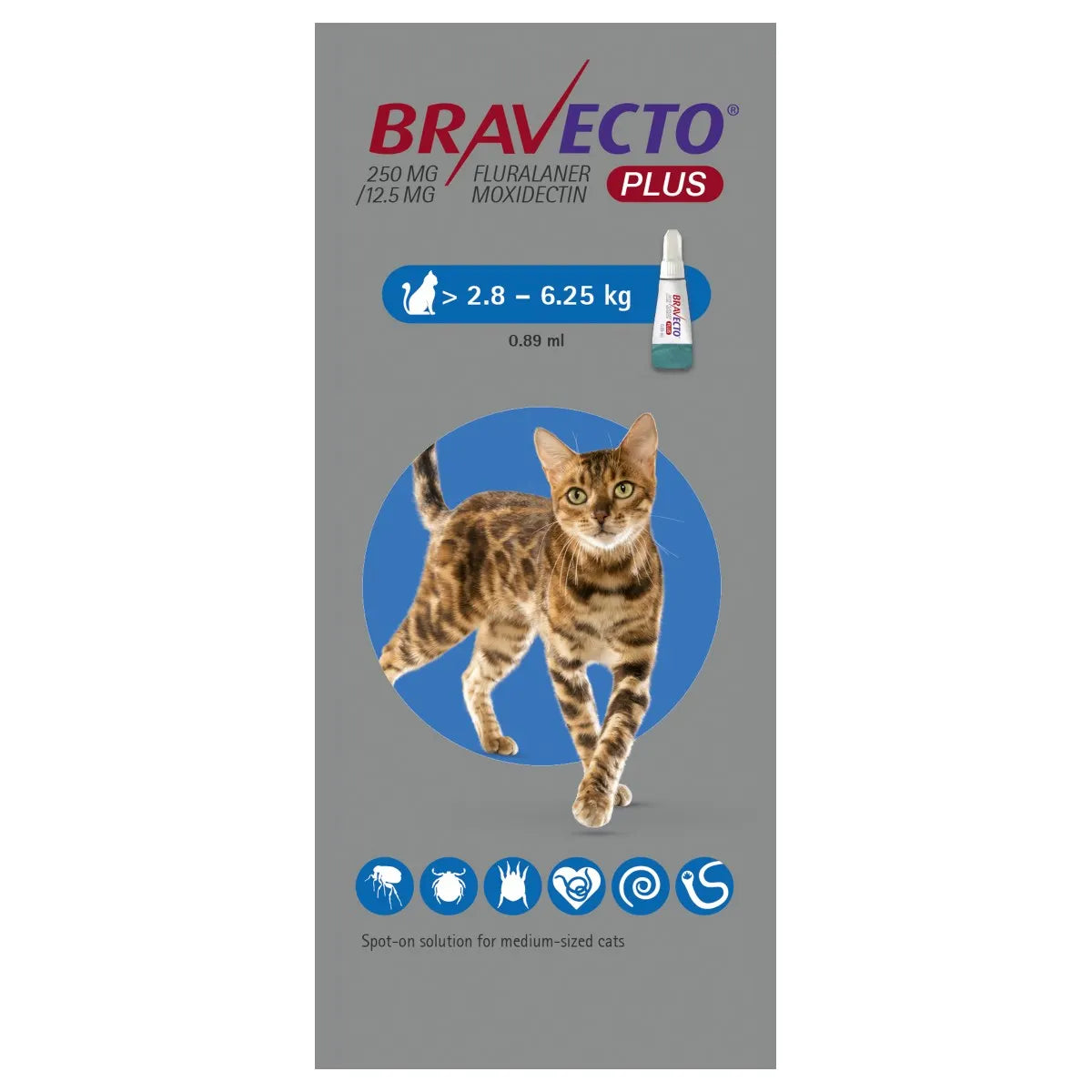 Bravecto Plus 250mg Spot-On Solution for Medium Cats