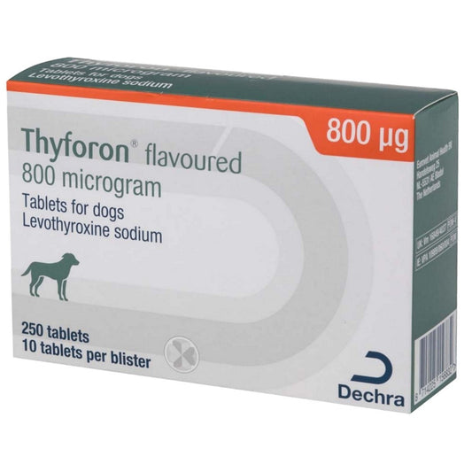 Thyforon Flavoured 250 Tablets 800mcg