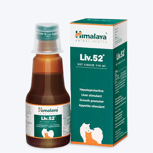 LIV 52 LIVER SUPPORT 110 ML