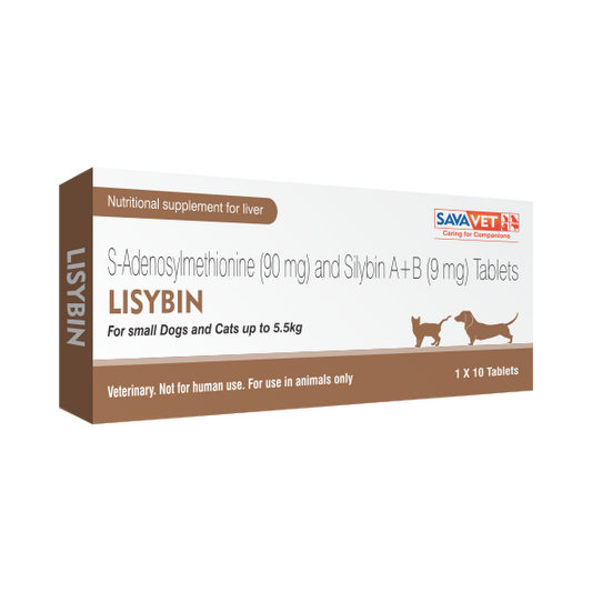 Lisybin small 10 tabs