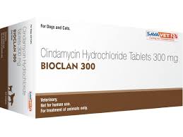 BIOCLAN 300 TABLET 10 tabs